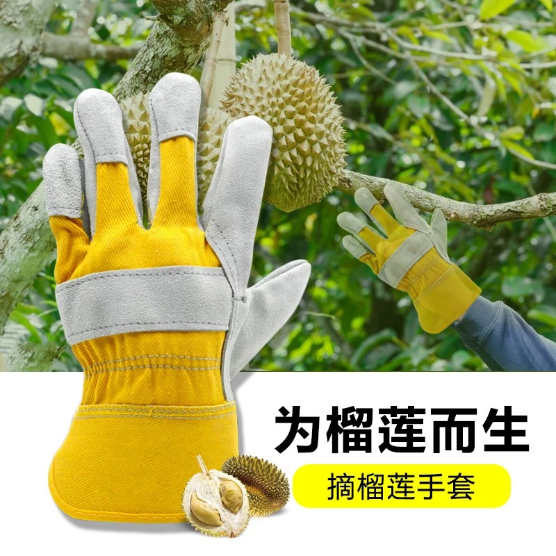 摘榴莲神器专用手套削菠萝捡摘板栗加厚防刺防扎防切割耐磨园艺