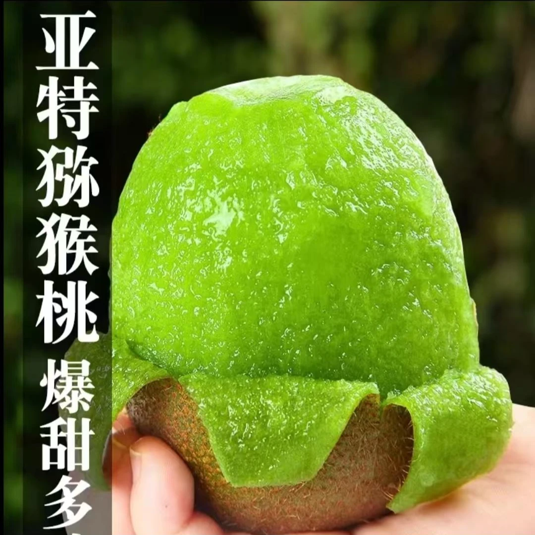 陕西周至奶油亚特香型猕猴桃现摘现发