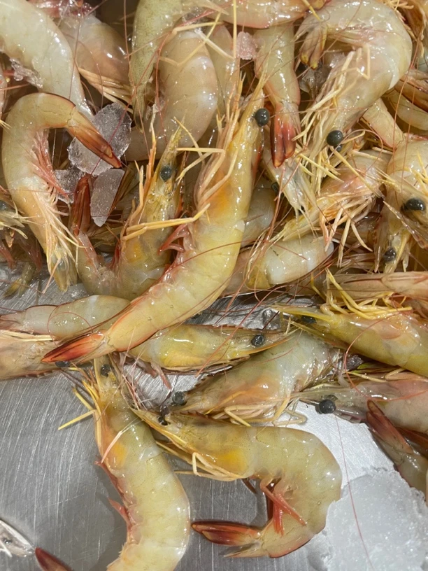 本港海捕明虾，高品质