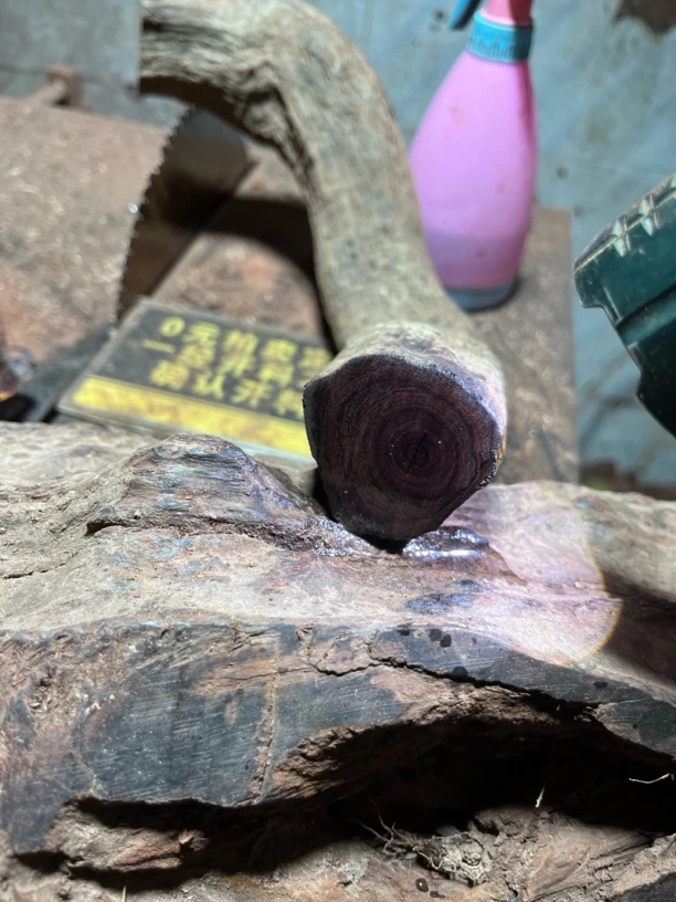 海岛料黄花梨对眼鬼脸瘤疤定制