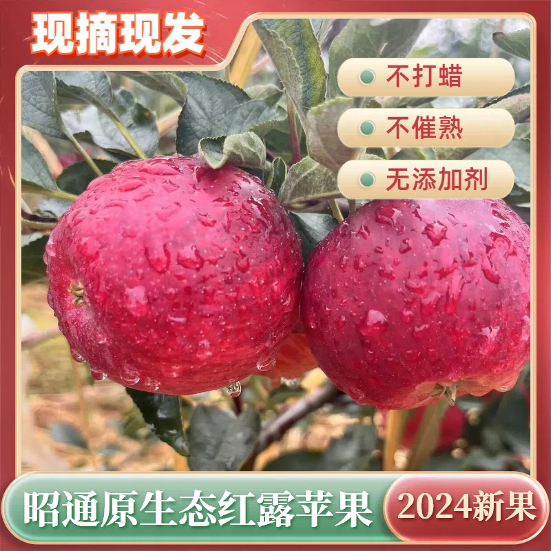 云南头茬红露苹果5斤，香甜多汁脆甜爽口，新鲜采摘云南/成都多仓发
