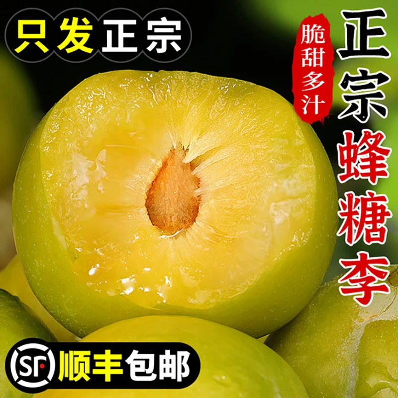 贵州六马蜂糖李水果新鲜安顺镇宁李子脱骨李顺丰