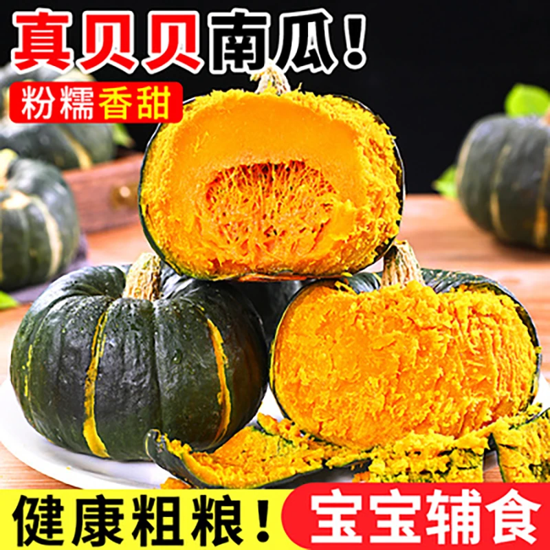 正宗山东贝贝板栗南瓜新鲜贝贝南瓜农家自种婴儿辅食