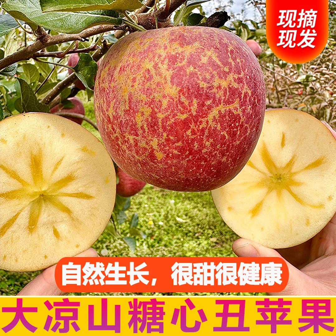 2023年四川大凉山高山露天新鲜脆甜糖心丑苹果3斤/5斤/8斤/9枚