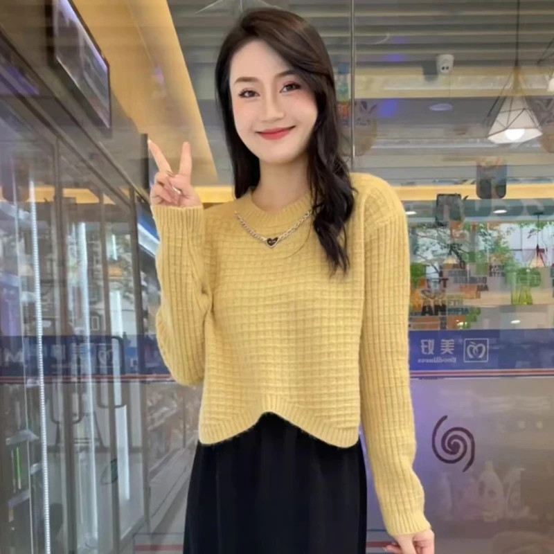 2025春秋新款圆领套头针织衫女小个子时尚设计感女士毛衣打底衫潮