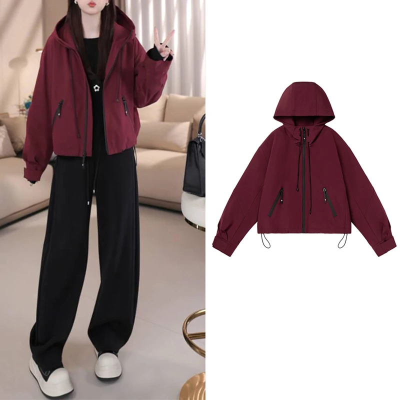 2024秋冬新款韩版宽松洋气小个子夹棉连帽冲锋衣外套女运动夹克衫