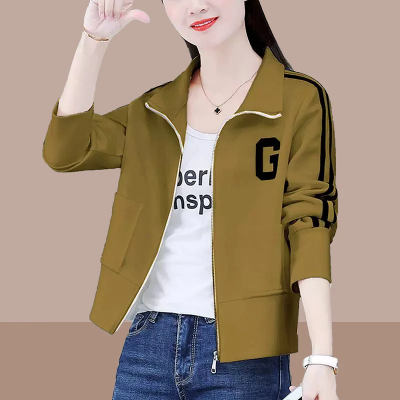小个子短款卫衣外套女2026年春秋季新款休闲立领时尚显瘦长袖上衣