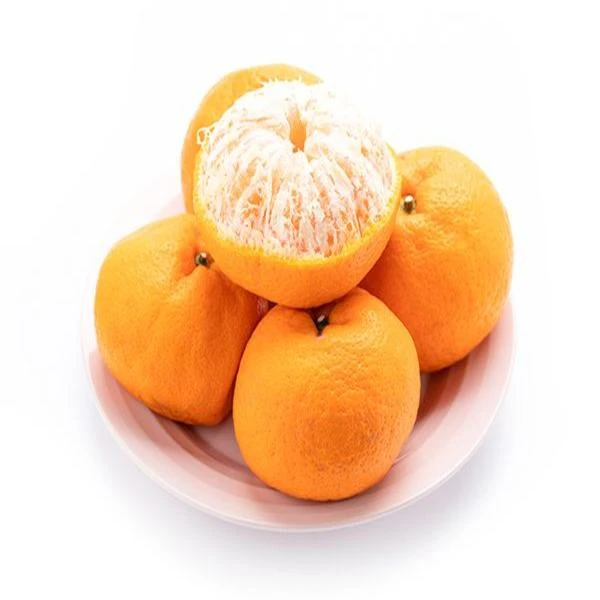 疆旭阳耙耙柑13.8/斤