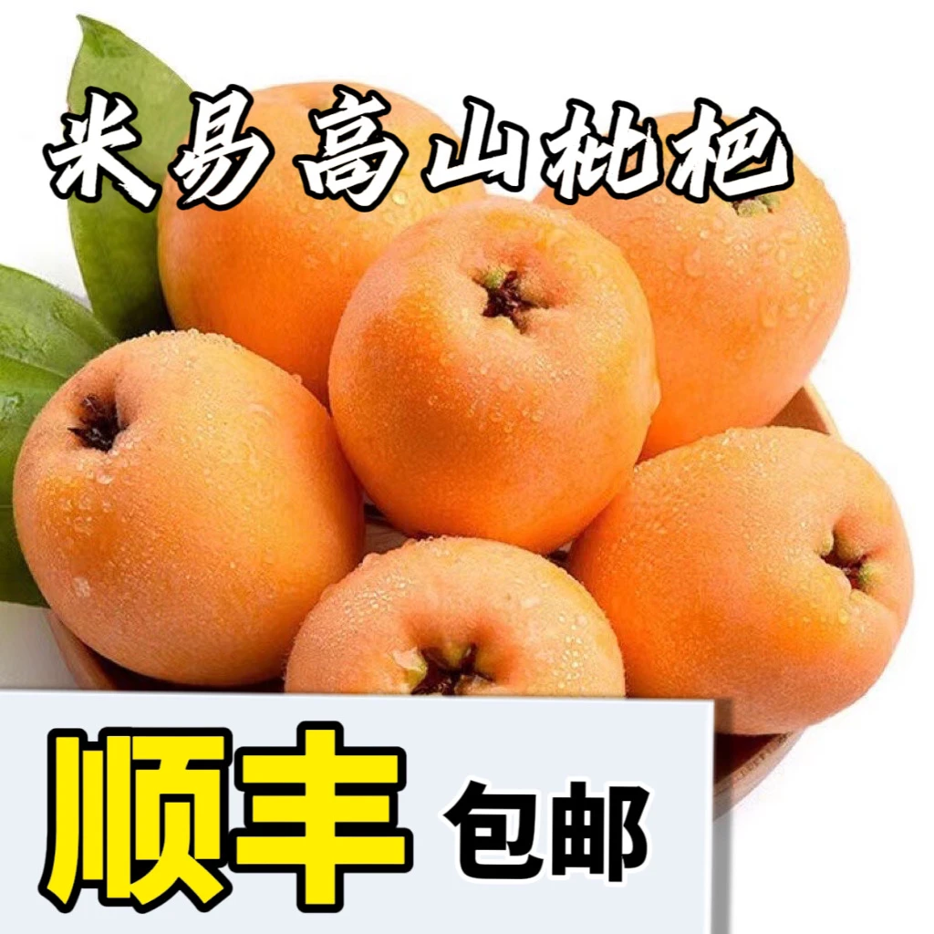【顺丰包邮】正宗四川攀枝花米易枇杷果鲜果新鲜现摘现发琵琶果水果