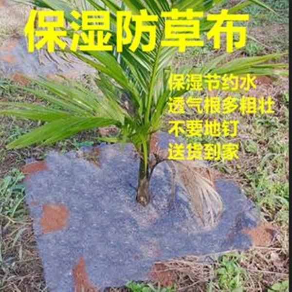 土工布毛毡公路养护路面保湿苗圃花卉苗防草布保温毡保湿棉防寒棉