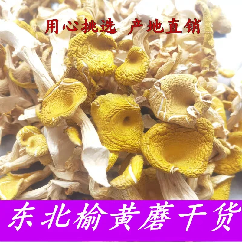 长白山榆黄蘑净重250克