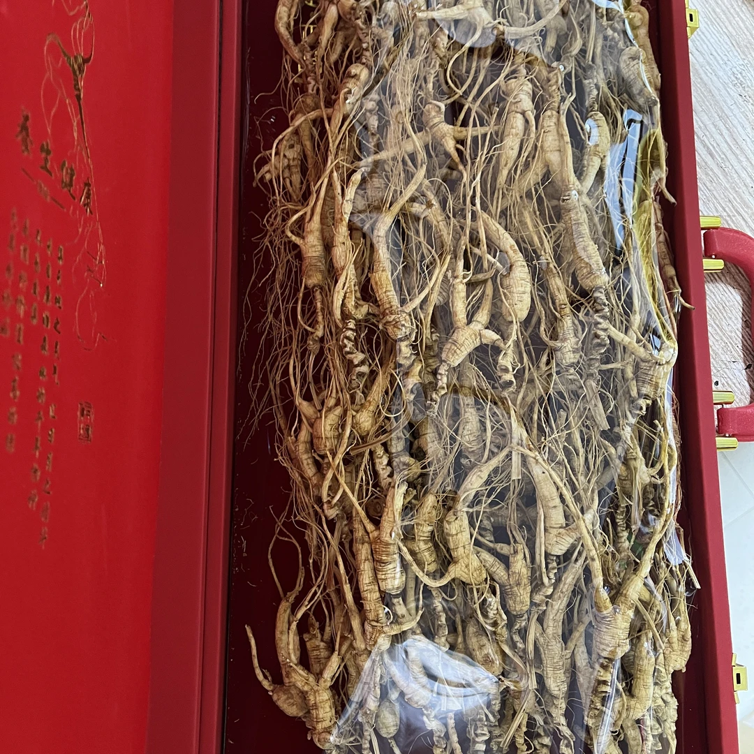 长白山林下籽参 干籽参