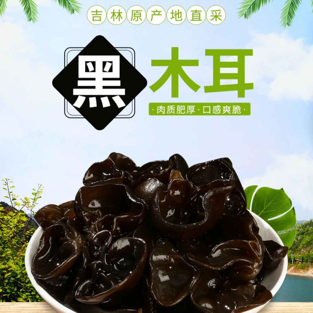 长白山秋木耳黑木耳肉厚净重250克