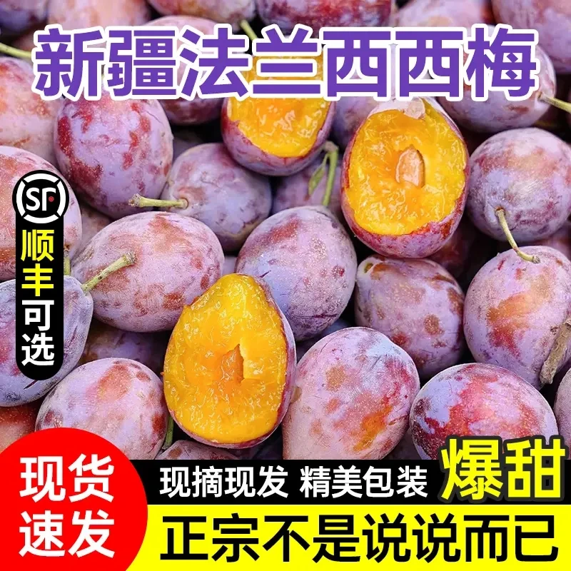 顺丰直达新疆西梅法兰西西梅新鲜应季水果西梅当季孕妇水果精选果