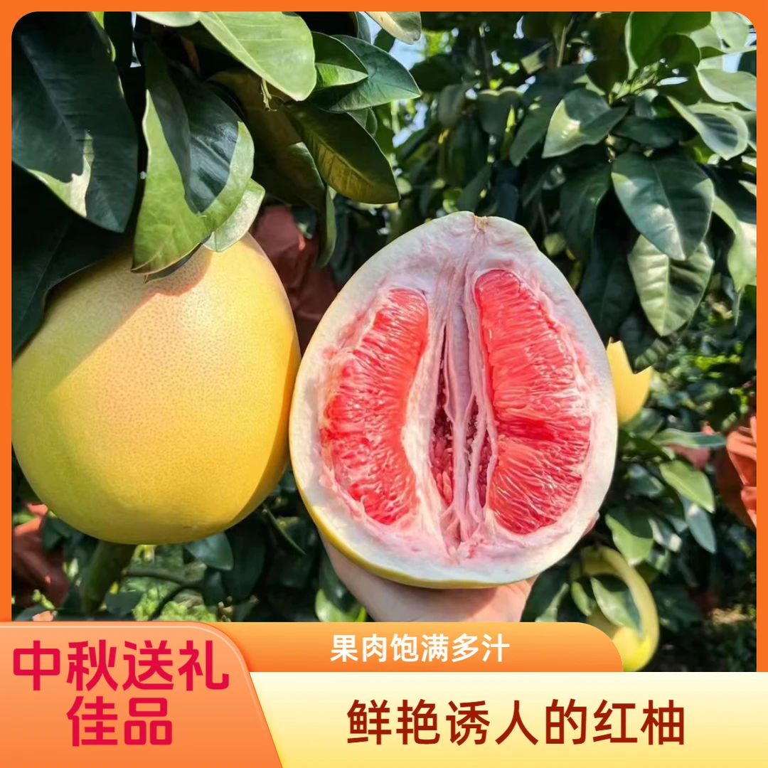 红心白心优质柚应季新鲜当季水果柚子水饱满多汁包装送礼贡品香味