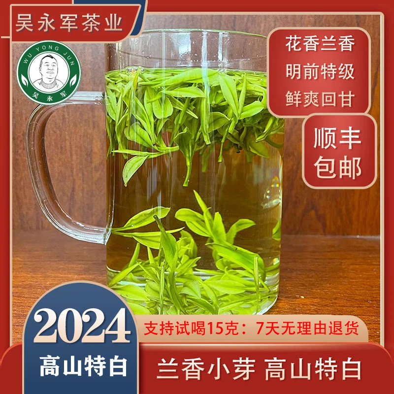 ~2024新茶明前特级兰香小芽高山特白口感鲜爽回甘