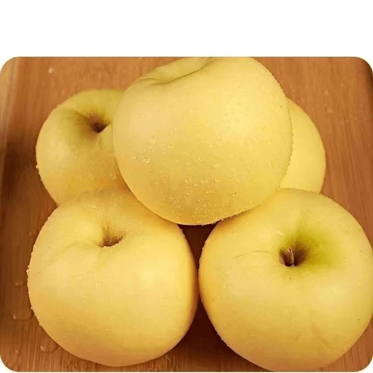 【助农】奶油苹果山东烟台黄金富士脆甜丑新鲜水果净重8.5斤