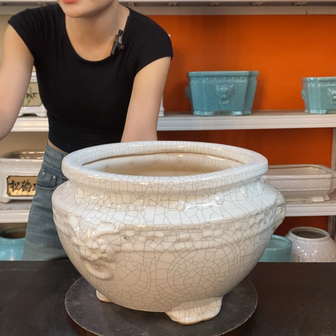 陶20CM（含）-50CM（不含）五*