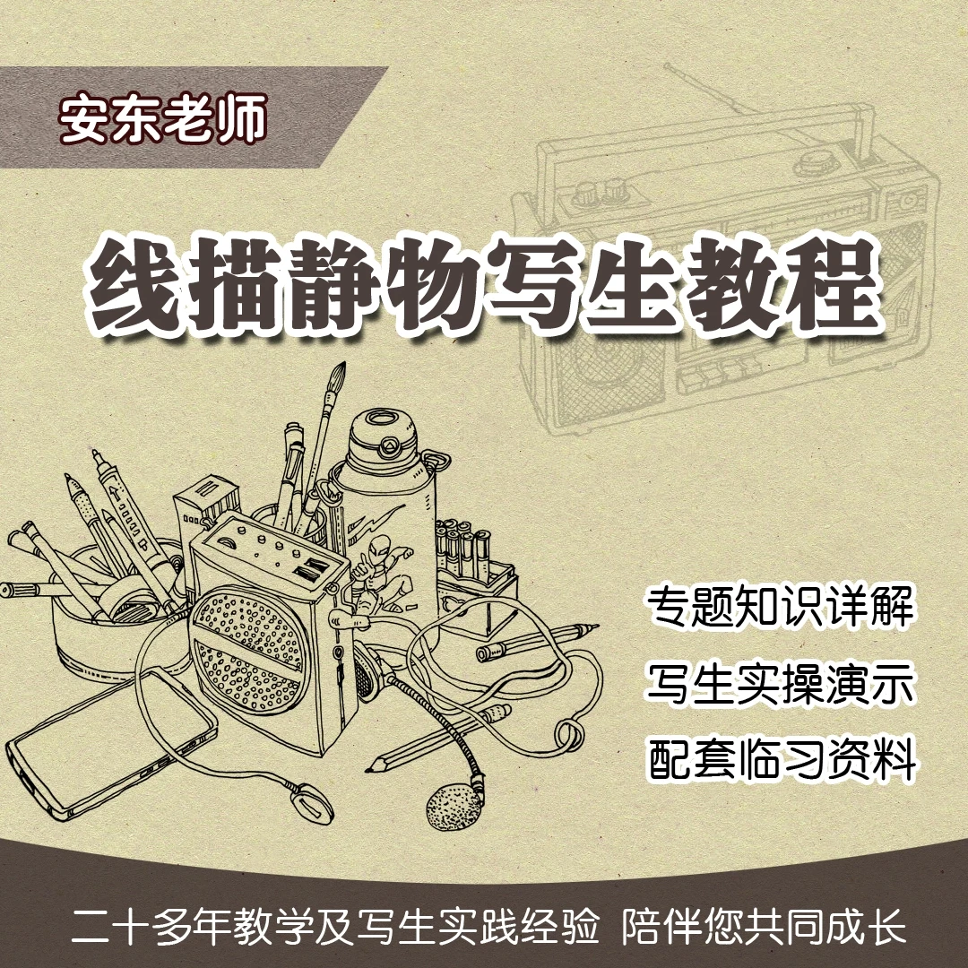 线描静物写生教程