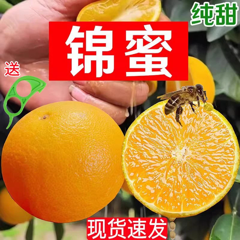 纯甜麻阳锦蜜甜橙正宗湖南麻阳冰糖橙子新鲜水果当季现摘褚橙浓甜