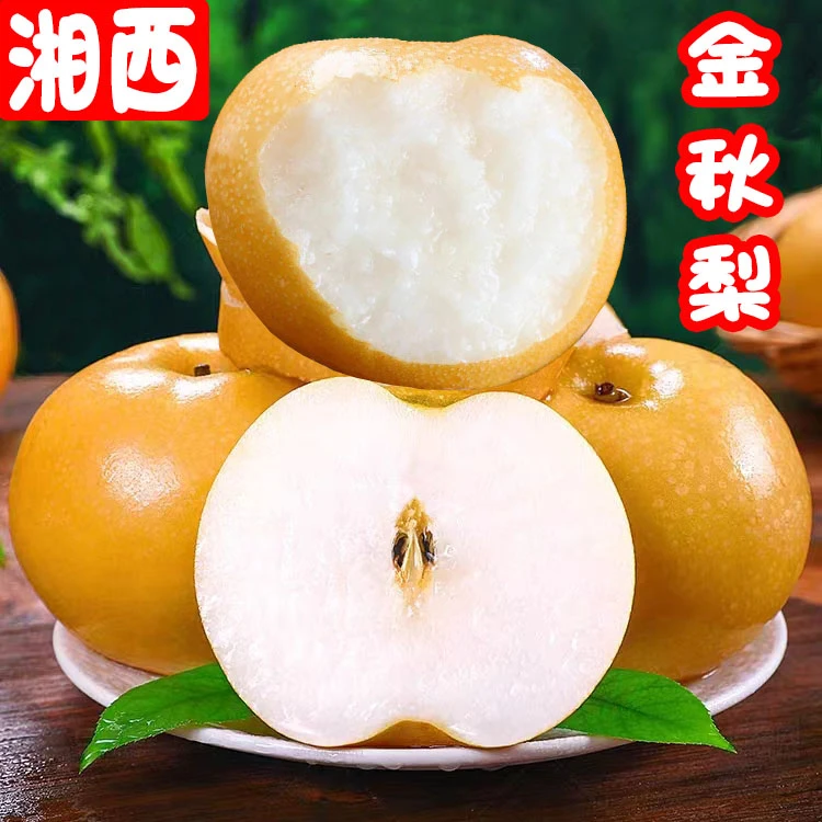 金秋梨新鲜现摘梨子湖南特产砂月梨当应季孕妇水果黄花梨10斤装