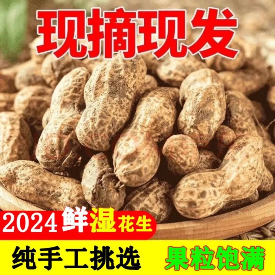 新鲜现摘鲜花生农家自种粉皮花生