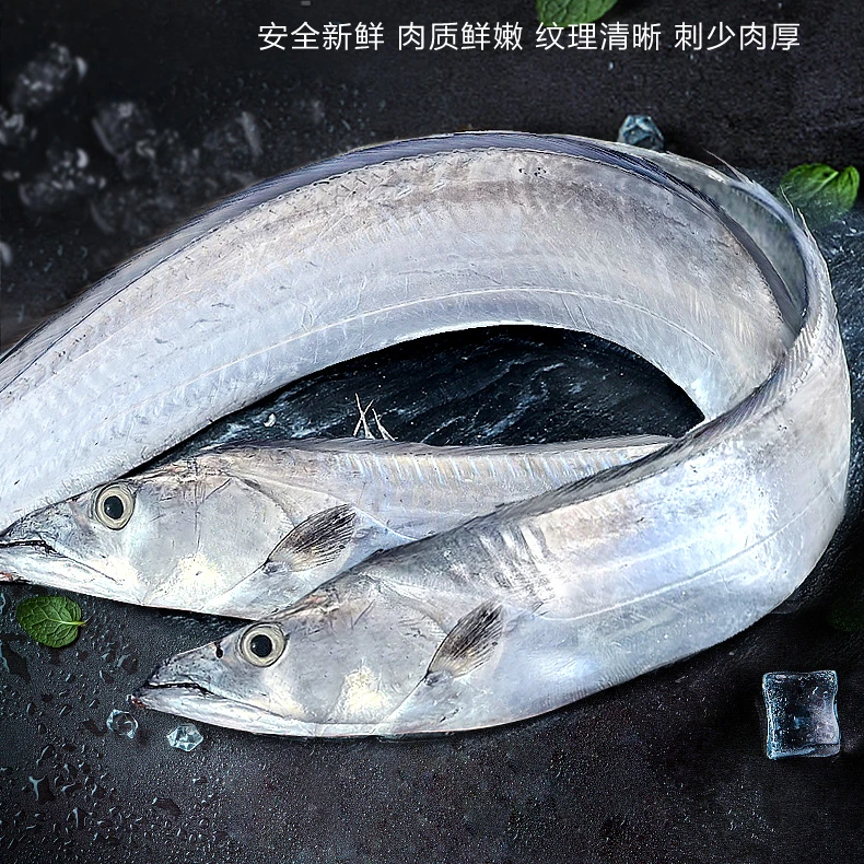 【莫】海钓带鱼 天然野生鲜活速冻 广东新鲜海钓锁鲜 顺丰发货