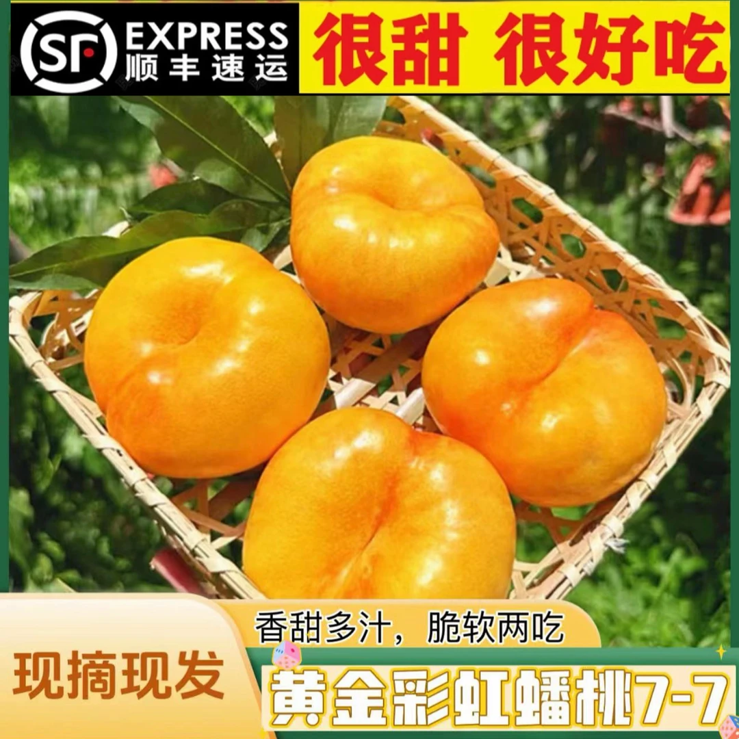 【现摘现发】山东彩虹蟠桃香甜爽口放软吃爆甜流汁流蜜