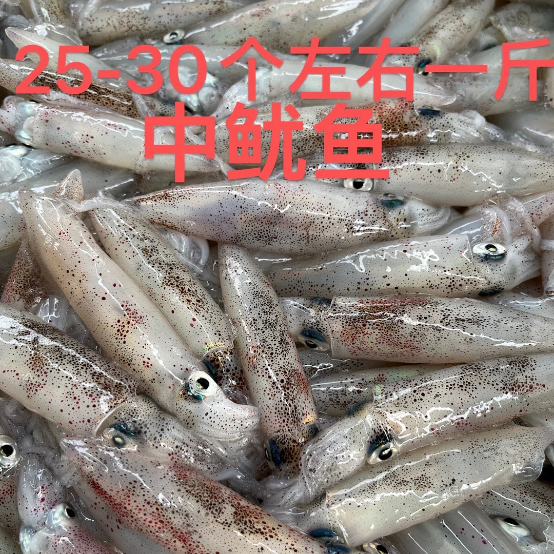 企沙瑜记 灯光船中鱿鱼6斤，活冻，25-30个左右一斤，不支持退换退款