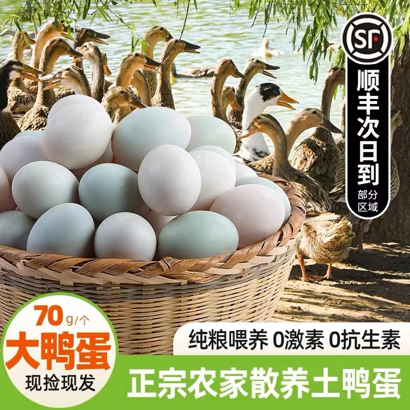 大鸭蛋新鲜现捡现发土鸭蛋70g正宗农家散养绿壳鸭蛋30枚整箱装