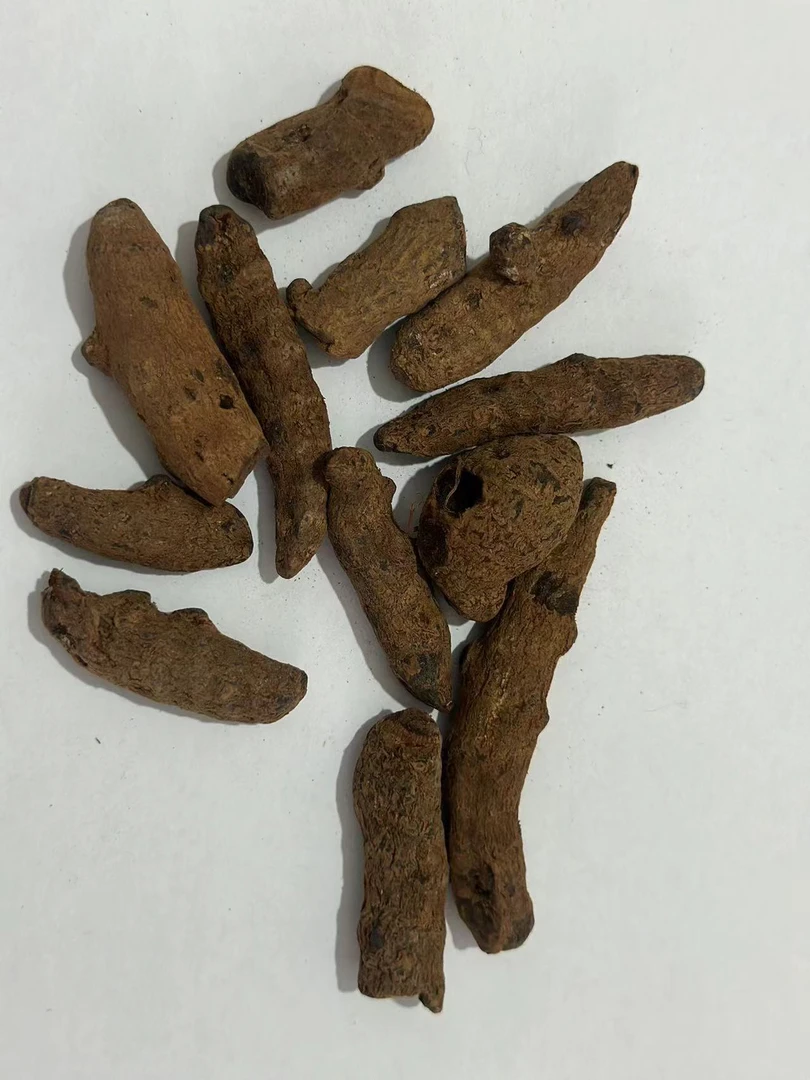 缅腼高品质血豆角（雪37）250g扛丙独，扛言，嚯雪化愈，泡酒必备