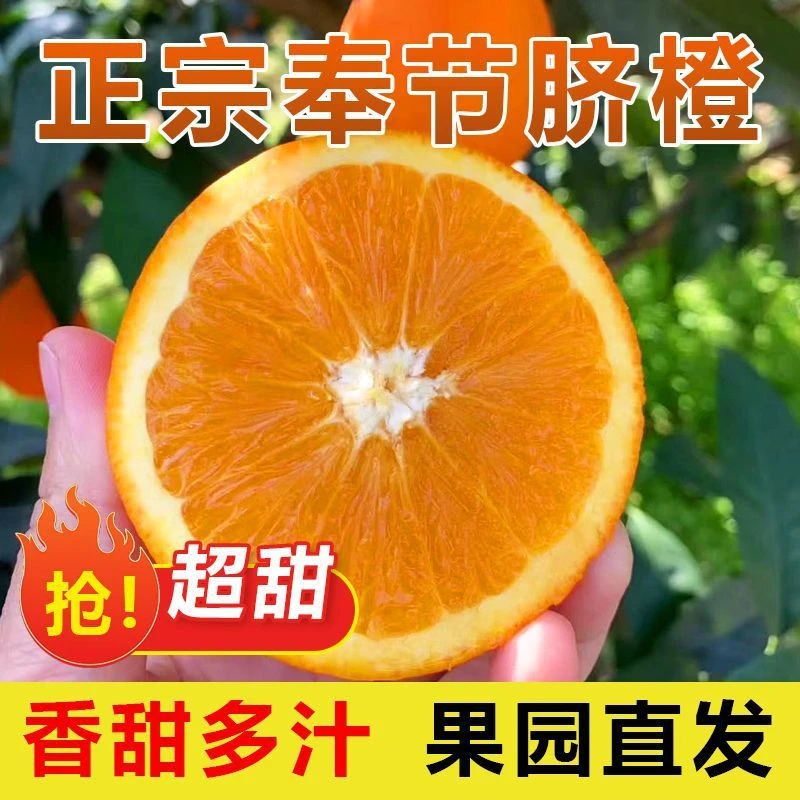 正宗重庆奉节脐橙现摘现发10斤
