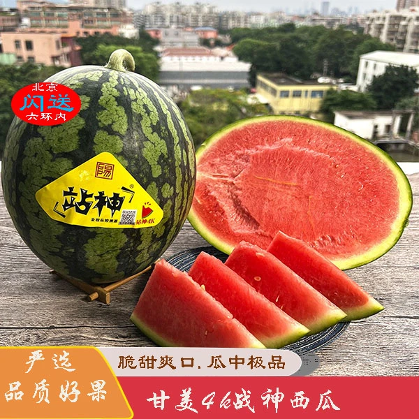 当季现货战神甘美4k系列西瓜1个5-10斤脆甜爽口新鲜水果发顺丰