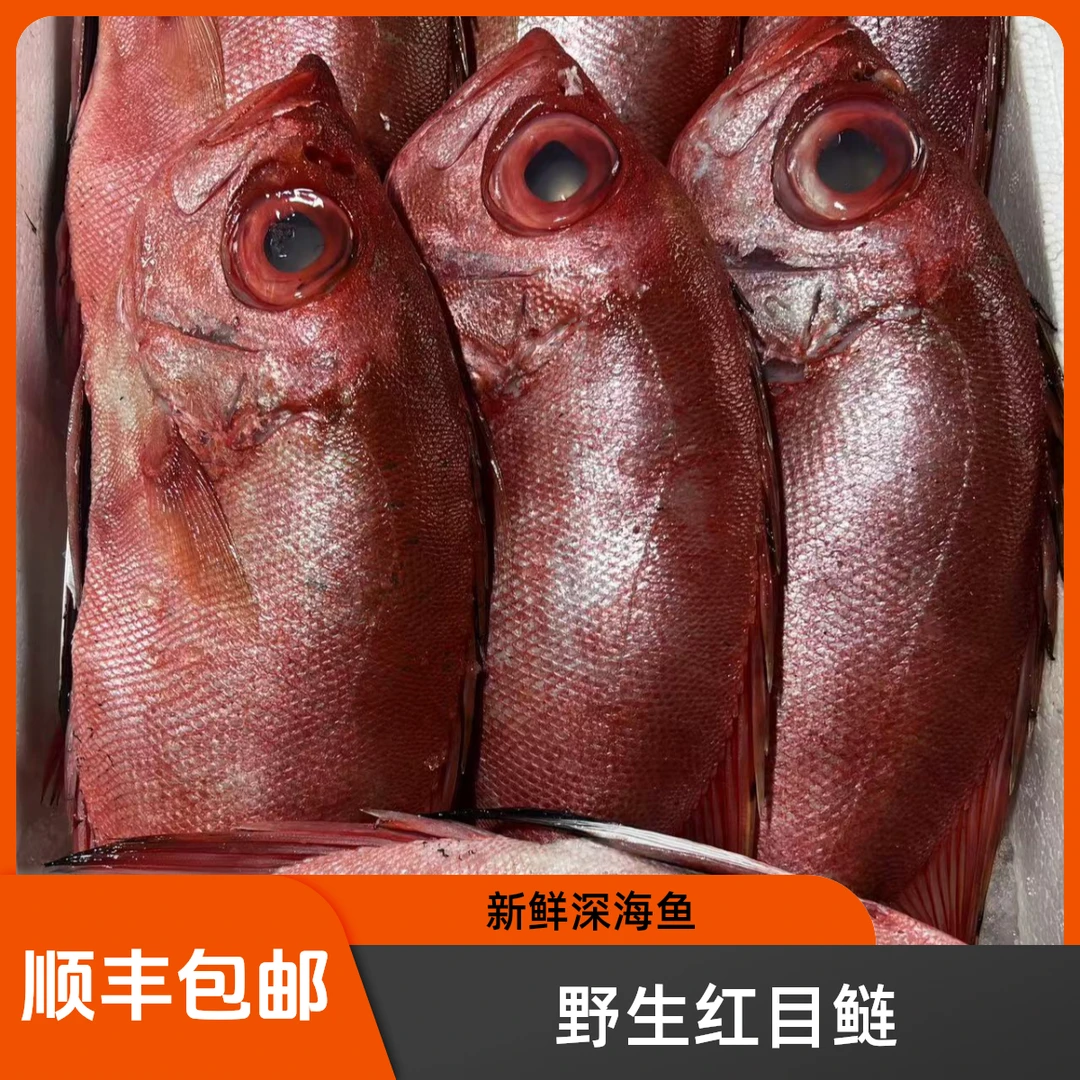 野生红目鲢 大眼鸡 新鲜 深海鱼 清蒸 做刺身3-10斤顺丰包邮