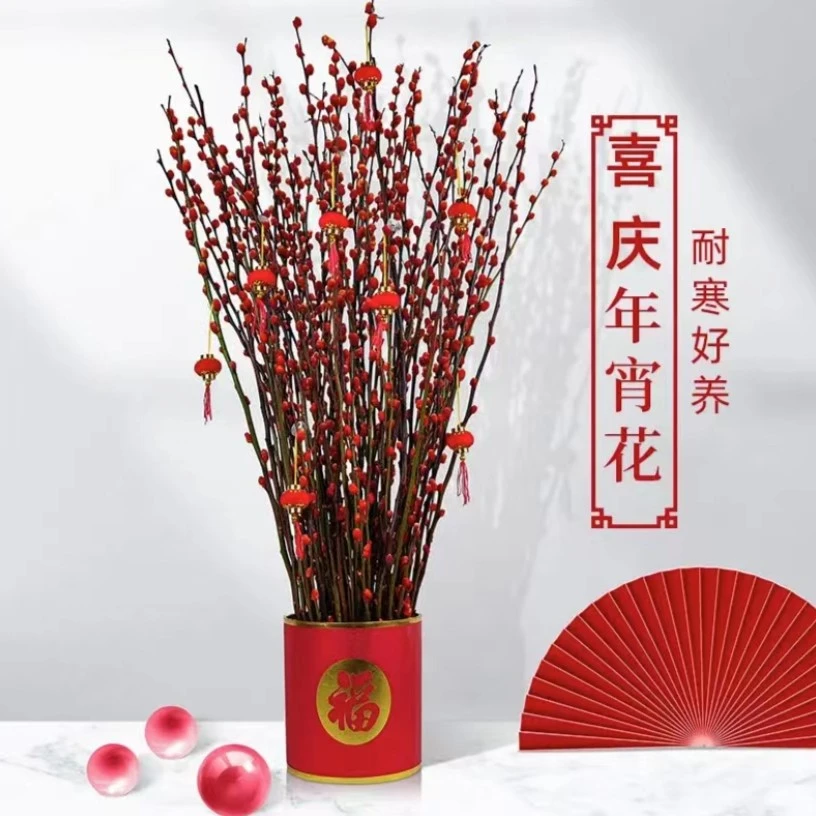 银柳真花鲜枝银柳干花福桶招财水培花卉植物室内鲜花春节年宵装饰