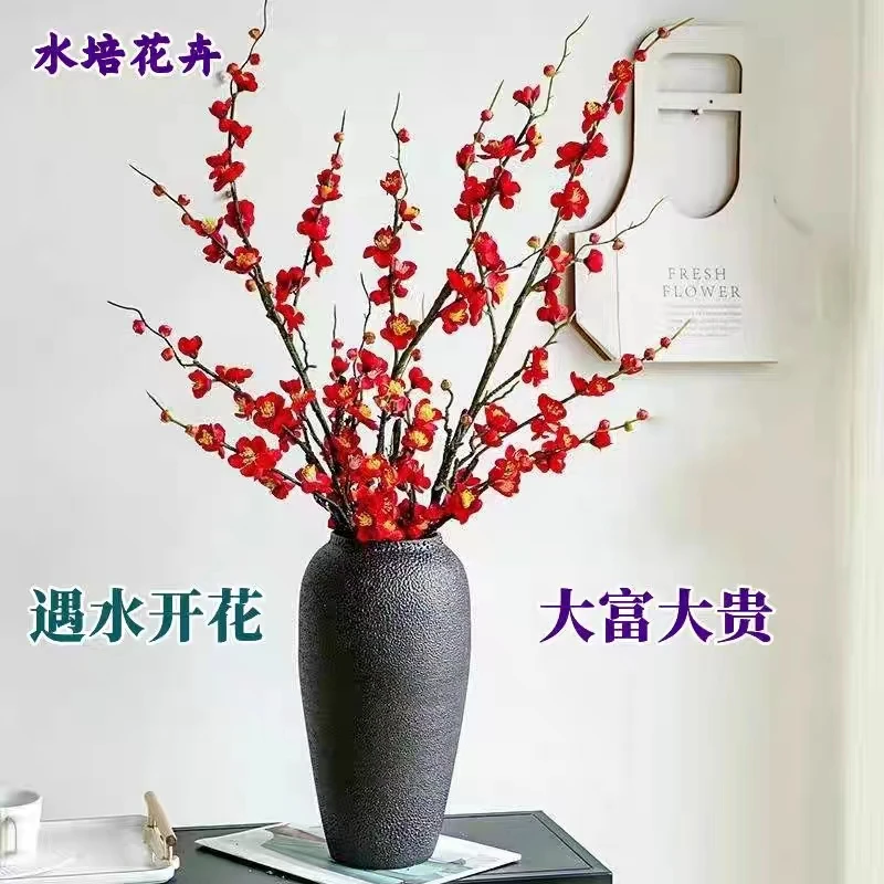 年宵花卉招财苗干枝鲜花耐寒遇水红梅干枝开花水培腊梅桃花枝新年