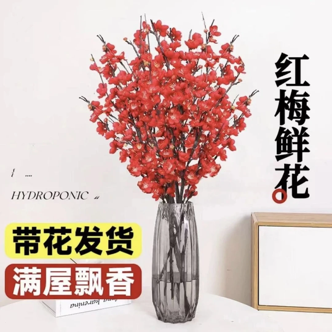 【春节开花】干枝红梅遇水开花飘香带花苞红梅花枝耐寒好养新年春节