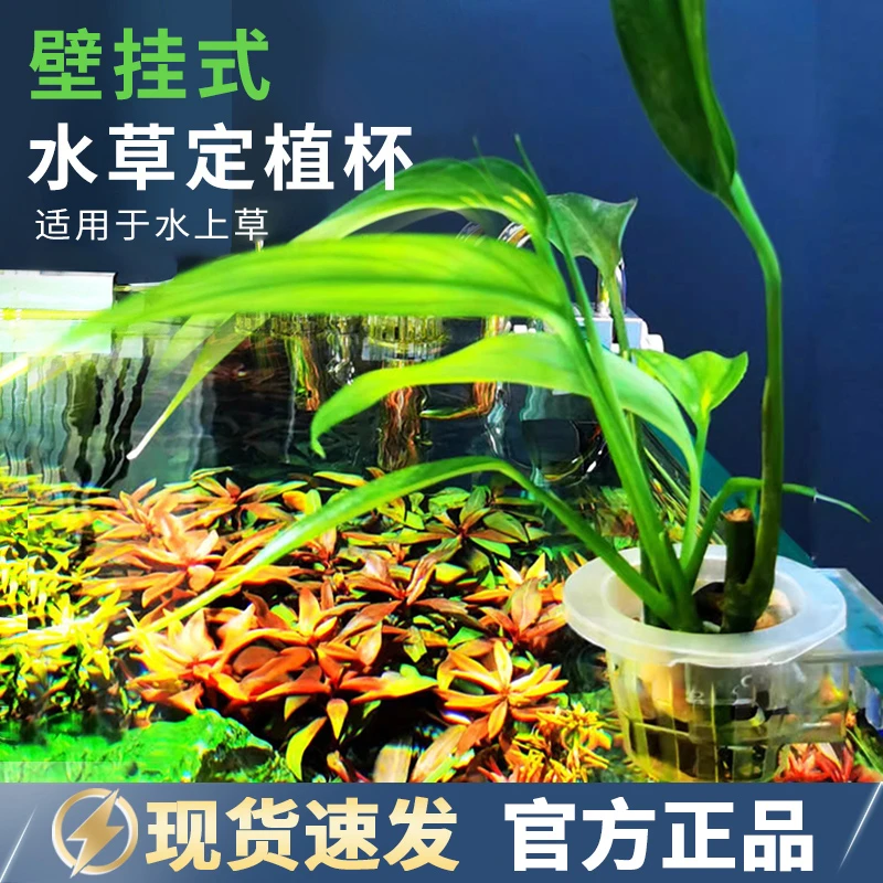 玩家宝贝山崎桂种植杯水草杯夹鱼缸水培植物固定架定植篮造景配件
