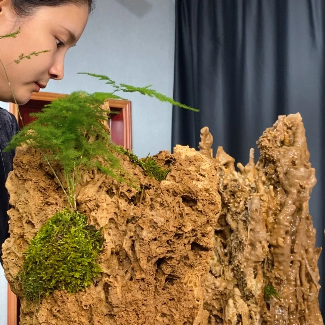 鑫**业天然上水石盆景