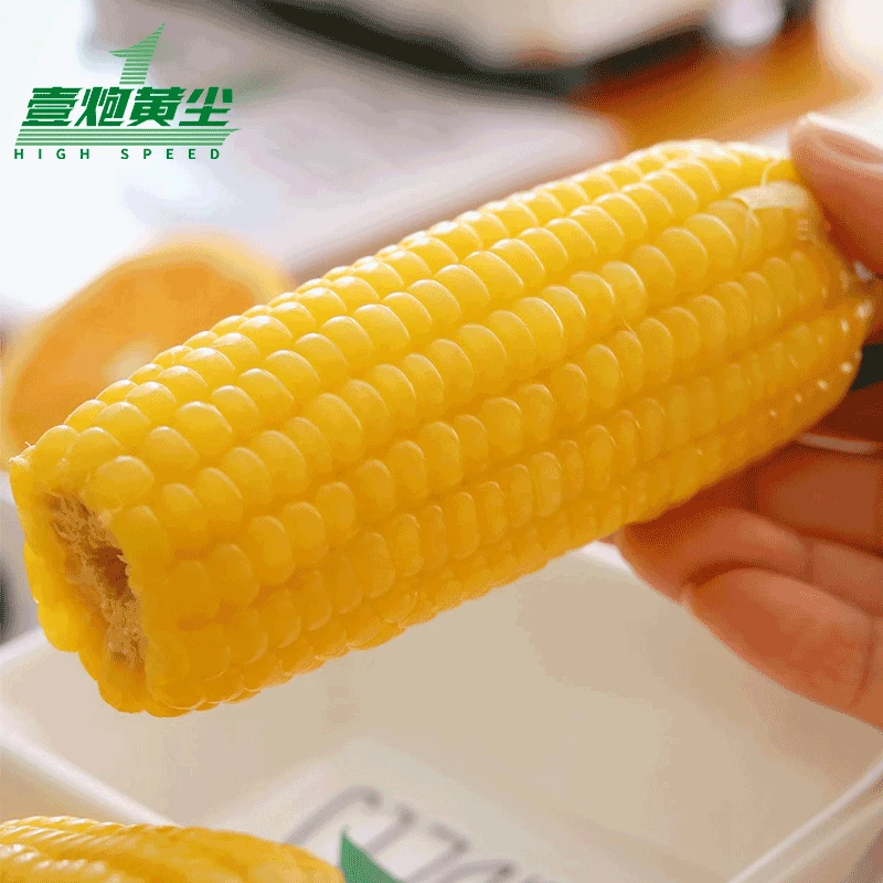 一炮黄尘内蒙古河套平原甜糯玉米8支简装真空包装代餐粗粮早餐