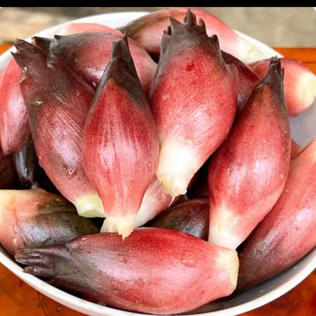 贵州野生洋荷姜新鲜阳荷姜现挖当季蔬菜阳和姜茗荷阳藿姜