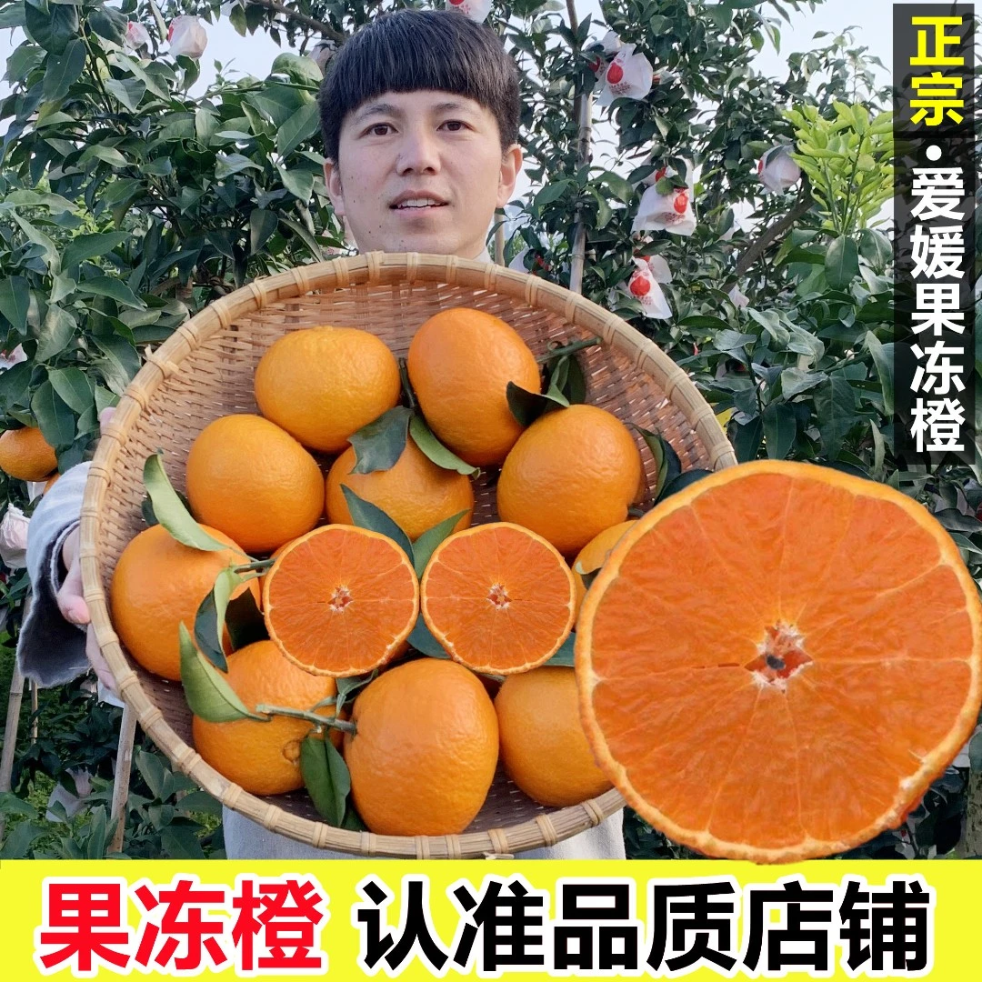 四川爱媛38号果冻橙大果正宗新鲜孕妇水果当季红美人甜橙包邮