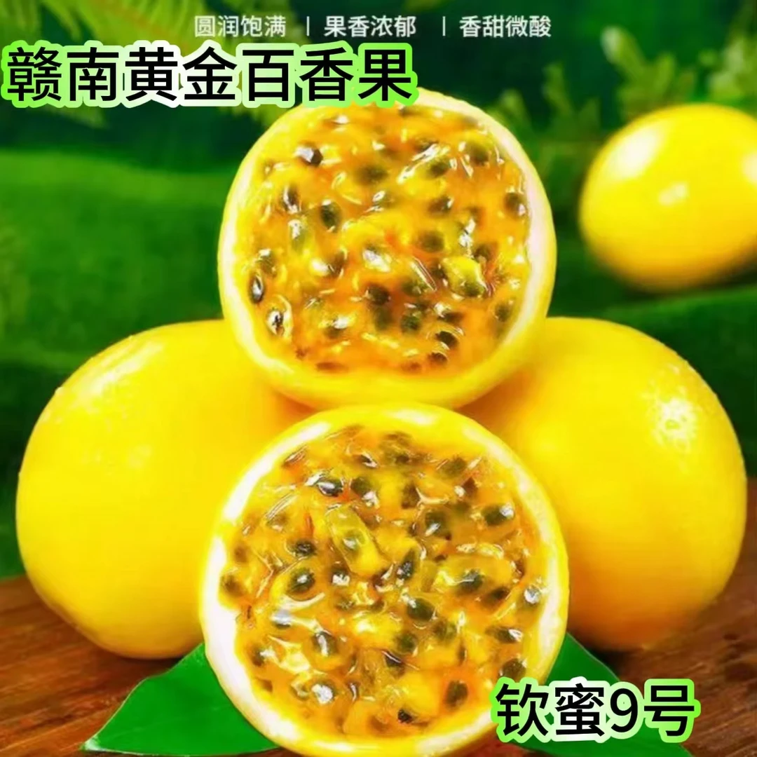 赣南正宗钦蜜九号黄金百香果新鲜水果营养丰富香甜多汁原产地直发