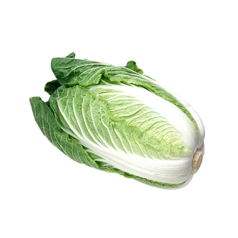包装夏阳白菜 700g-800g