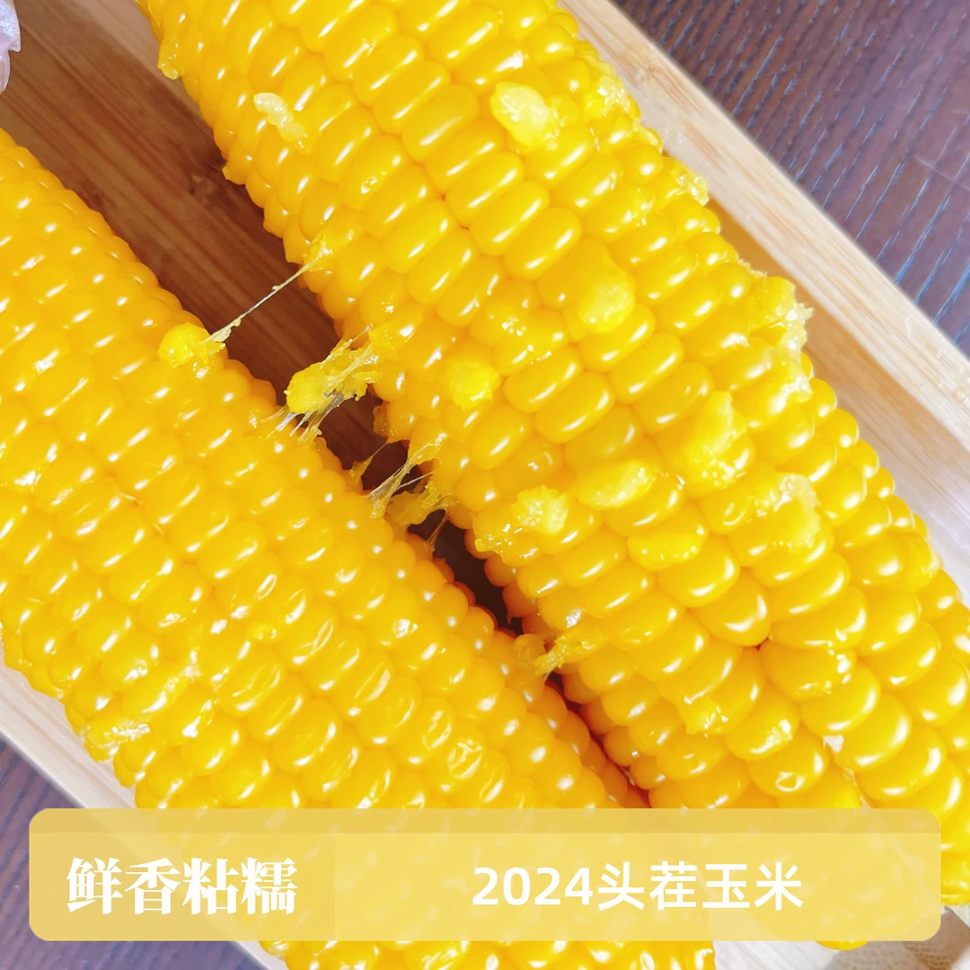 春熙旺东北新黄糯玉米真空保鲜粗粮蒸煮甜糯棒子大有嚼劲