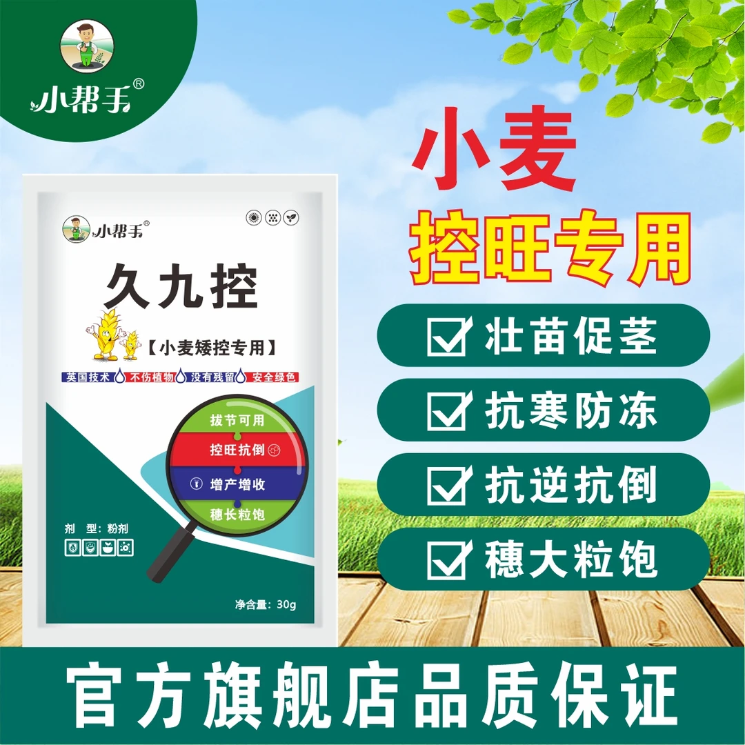 小麦强效控旺防旺长徒长抗寒防冻增产增量专用叶面肥促分蘖抗倒伏