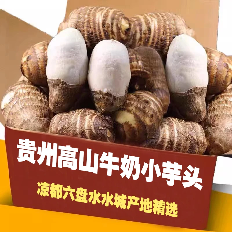 贵州现挖牛奶小芋头新鲜芋艿粉糯香芋农家毛芋头芋儿当季蔬菜
