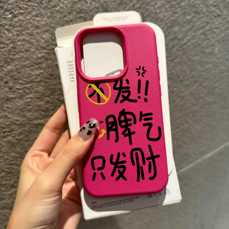 趣味不发脾气只发财适用苹果16手机壳iphone15/14promax荔枝纹13