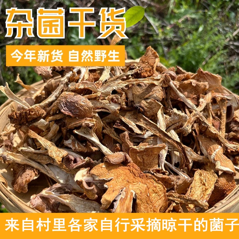 云南野生杂菌干各类杂菌干货通用链接 农家晒干新货散装 介意勿拍