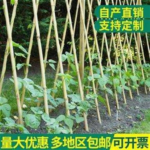 批发防腐竹竿装潢竹竿菜架竹竿篱笆彩旗杆细竹竿跳舞竹竿竹片
